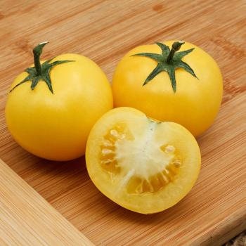 Tomato Seeds - Mixed Heirloom - ALL YELLOW varieties