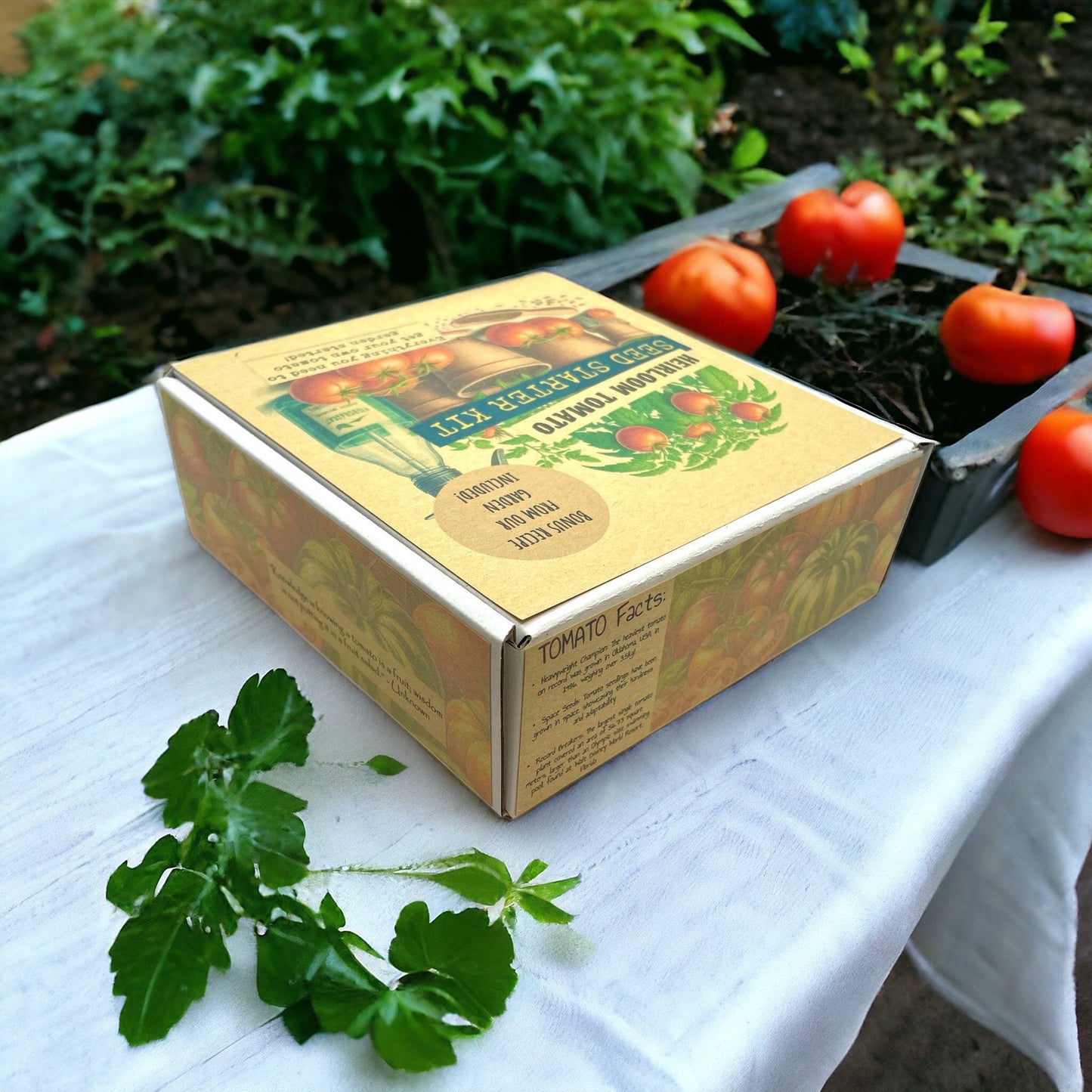 Heirloom Tomato Starter Kit: Grow Your Own Delicious Heritage Tomatoes