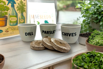 Indoor Herb Garden Starter Kit with Parsley, Chives, and Dill Seeds