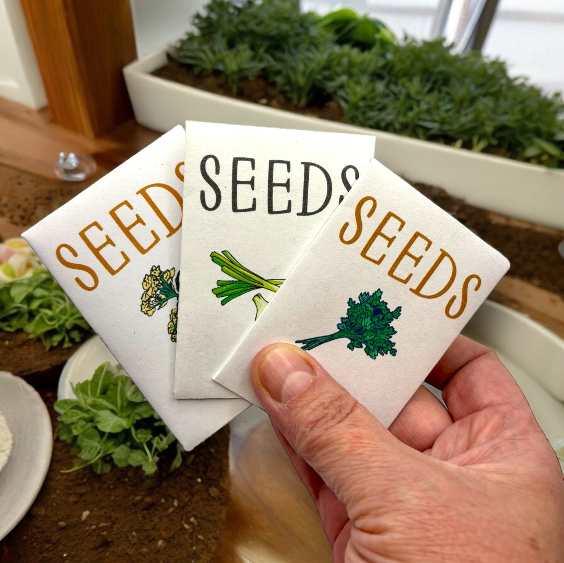 indoor plant seeds canada Indoor Herb Garden Starter Kit Canada