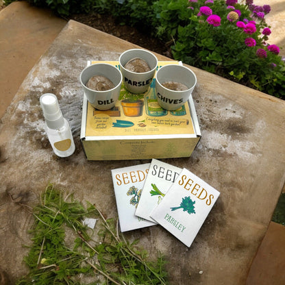 Indoor Herb Garden Starter Kit with Parsley, Chives, and Dill Seeds