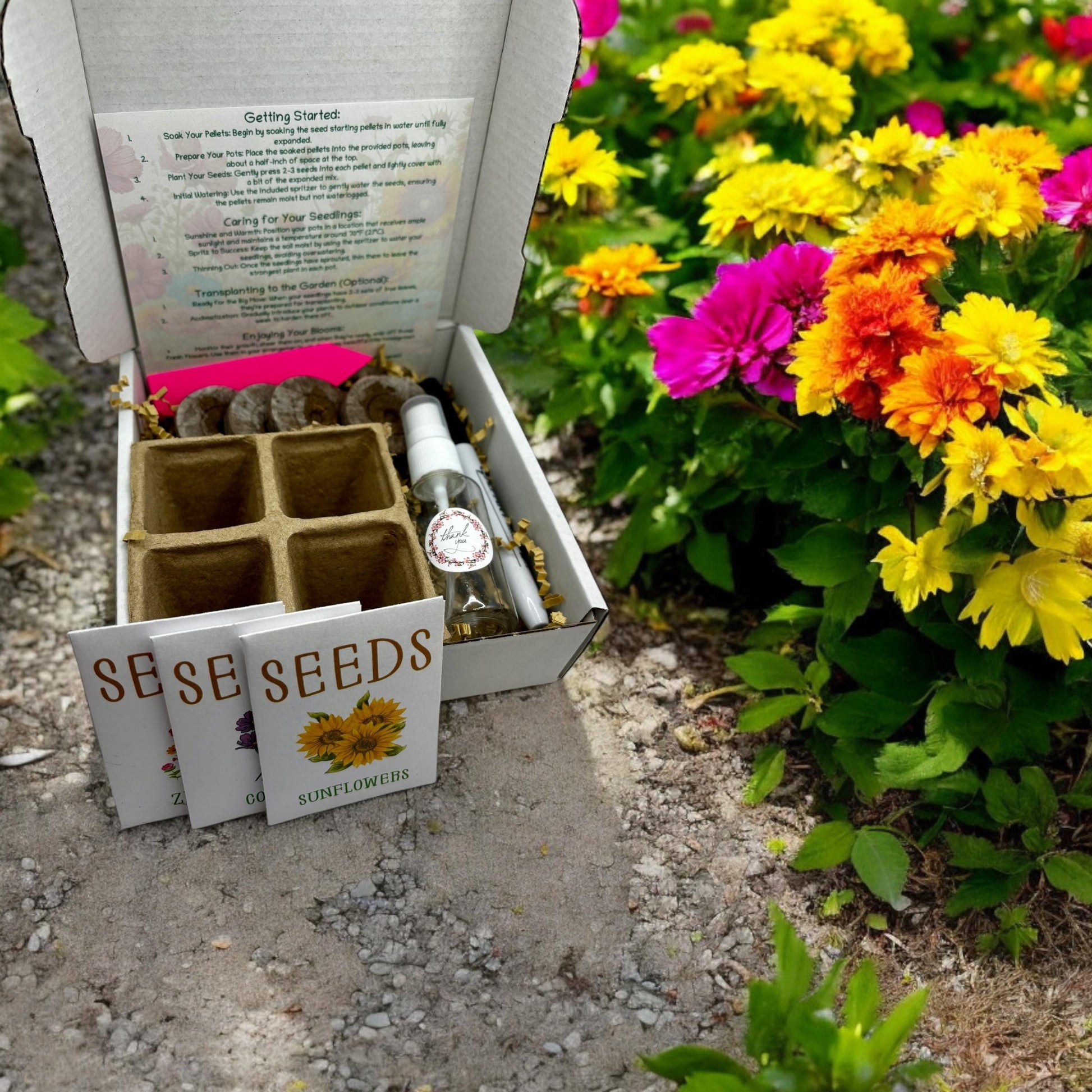 Flower Garden Starter Kit with Zinnia, Cosmo, and Sunflower seeds