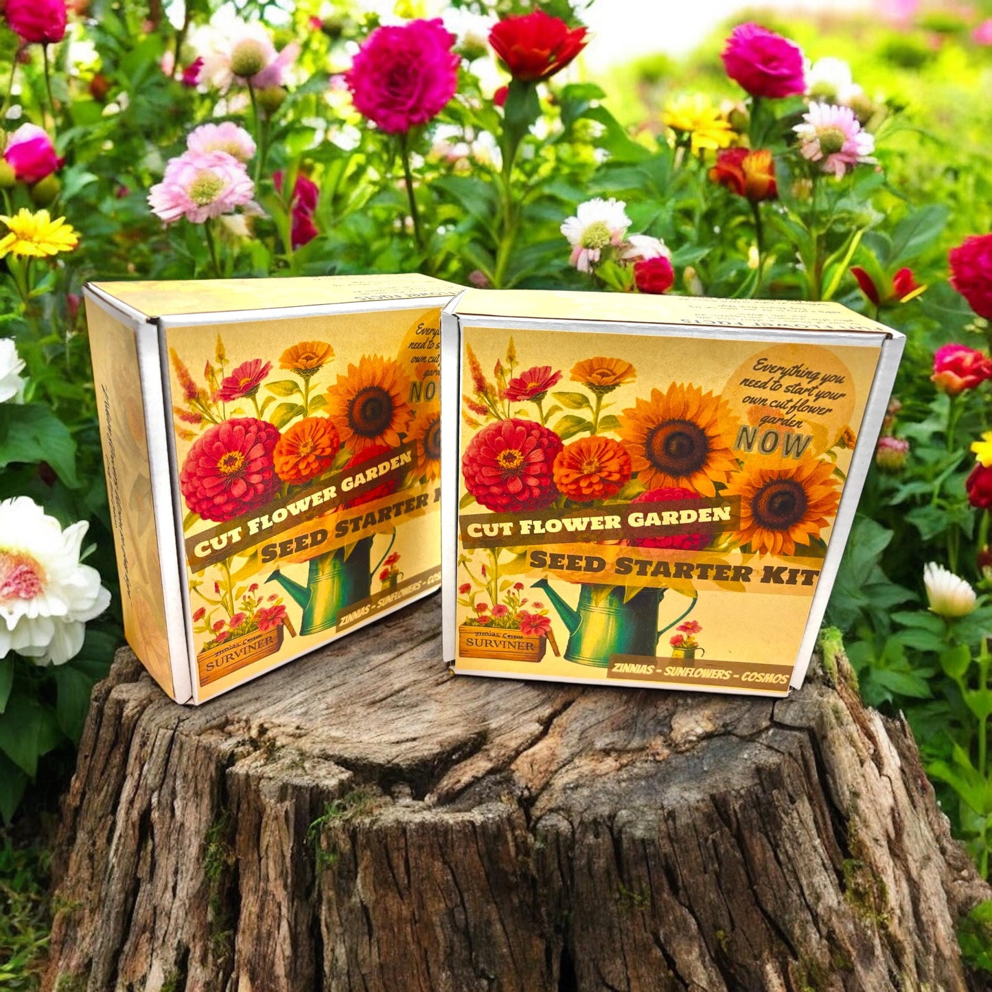 Flower Garden Starter Kit with Zinnia, Cosmo, and Sunflower seeds