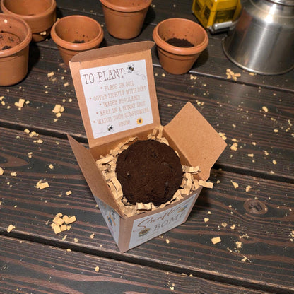 Sunflower Seed Bomb Box | Teacher Appreciation | Garden Party Favor | Grow Sunflowers