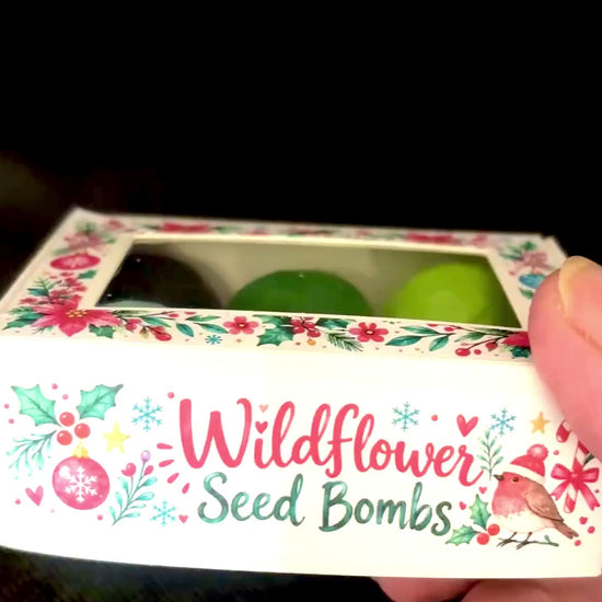 Seed Bombs – 6 pack - Christmas Gift Box – Wildflower Seeds
