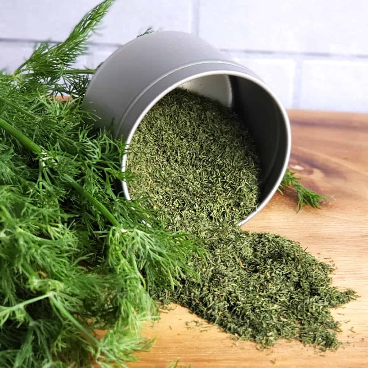 Dill - Herb Seeds