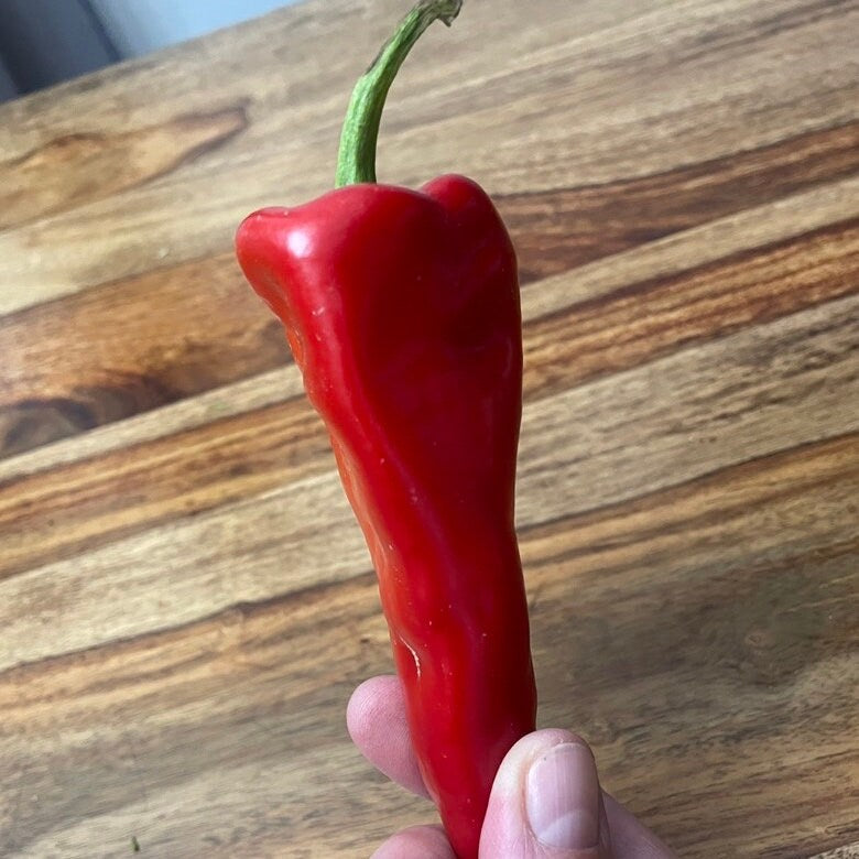 Pepper Seeds - Crimson Red Hot Pepper