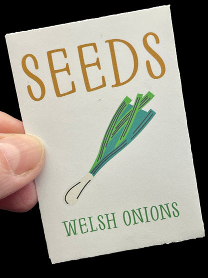 Welsh Onion (Perennial Winter Onion) - Vegetable Seeds