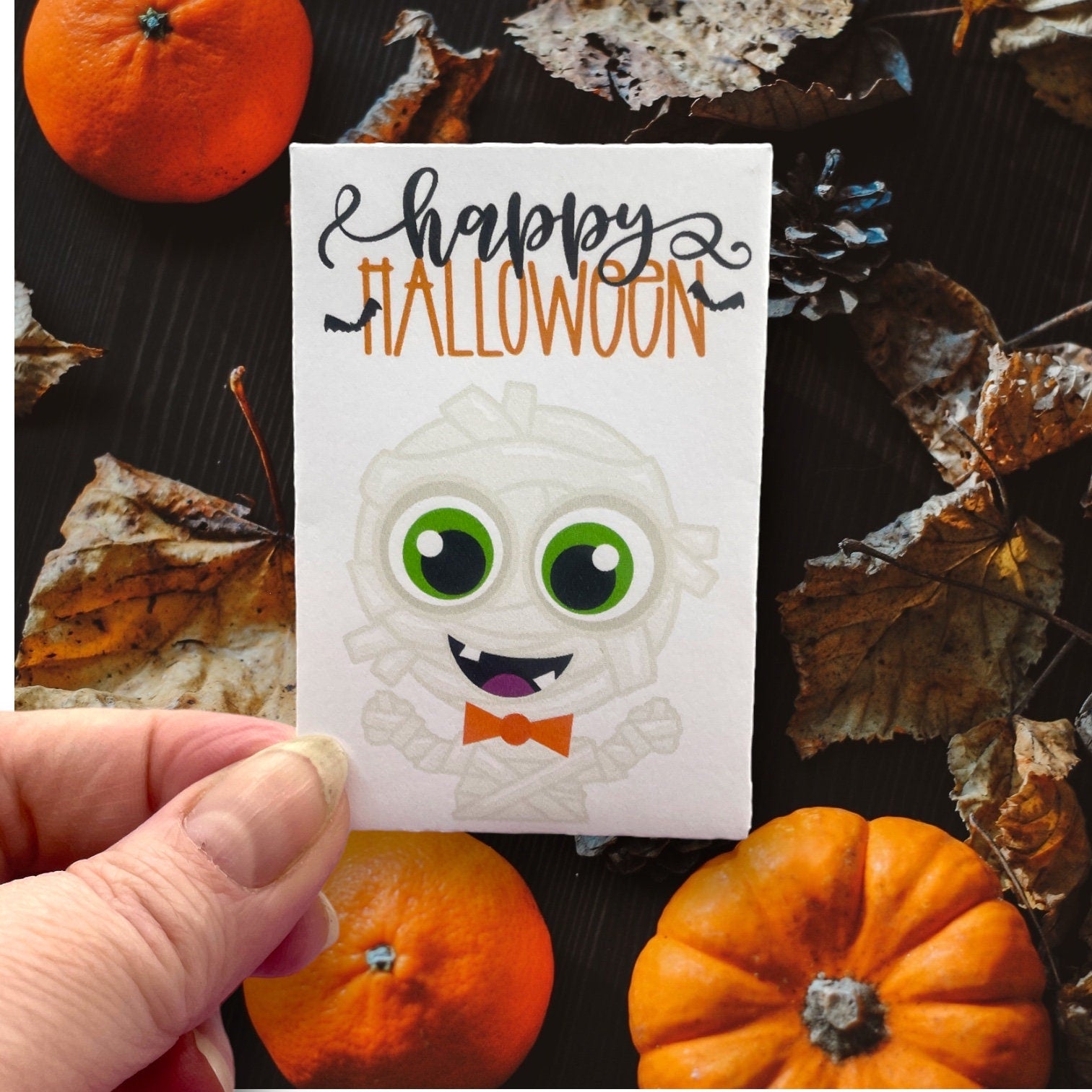 Seed Packages - Halloween Themed for Party Favors or Trick or Treaters - Includes 10 Packages of Pumpkin Seeds